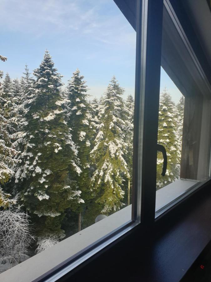 Borovets Forest View エクステリア 写真