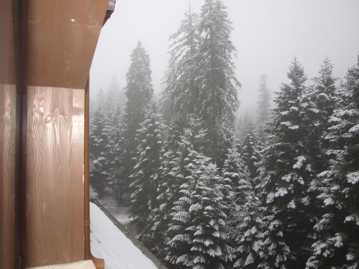 Borovets Forest View エクステリア 写真